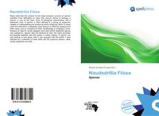 Bookcover of Naudedrillia Filosa