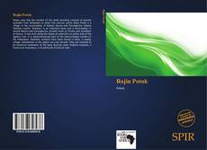 Portada del libro de Rojin Potok