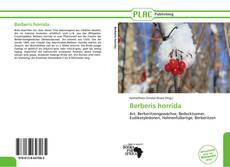 Buchcover von Berberis horrida