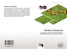 Buchcover von Berberis interposita