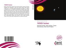 Capa do livro de 16505 Sulzer 