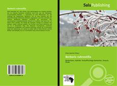 Bookcover of Berberis rubrostilla