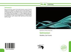 Capa do livro de Selmeston 