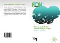 Bookcover of Naugatuck Valley Community College