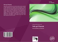 Portada del libro de Selo pri Pancah