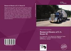 Portada del libro de Bannered Routes of U.S. Route 81