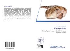 Copertina di Berberskink