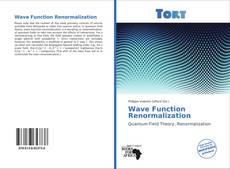 Capa do livro de Wave Function Renormalization 