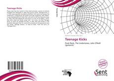 Capa do livro de Teenage Kicks 