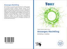 Capa do livro de Ansorges Hechtling 