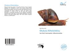 Bookcover of Otukaia Kiheiziebisu