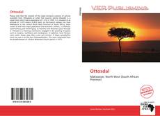 Capa do livro de Ottosdal 