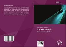 Portada del libro de Rokitno-Kolonia