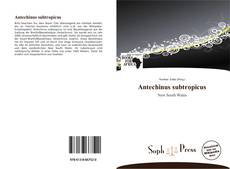 Bookcover of Antechinus subtropicus