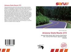 Bookcover of Arizona State Route 273