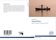 Copertina di Teesta River