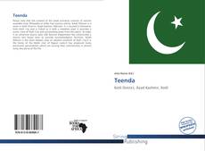 Capa do livro de Teenda 