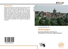 Portada del libro de Wahnwegen