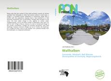 Bookcover of Wallhalben