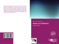 Capa do livro de Wave Cut Platform 