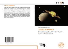 15220 Sumerkin kitap kapağı