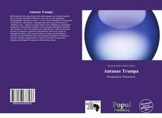 Antanas Trumpa kitap kapağı