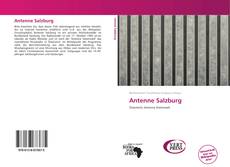 Buchcover von Antenne Salzburg