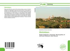 Bookcover of Welsleben