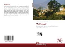 Portada del libro de Welfesholz