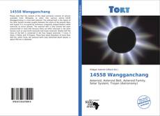 Portada del libro de 14558 Wangganchang