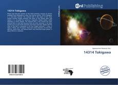 14314 Tokigawa kitap kapağı