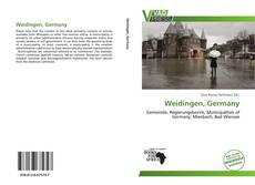 Bookcover of Weidingen, Germany