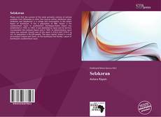 Portada del libro de Seləkəran