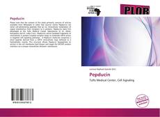 Pepducin kitap kapağı