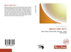 Bookcover of (6017) 1991 PY11