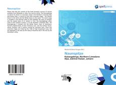 Bookcover of Naunspitze