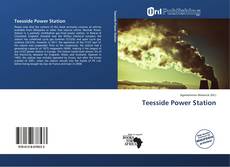 Teesside Power Station kitap kapağı