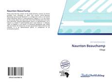 Buchcover von Naunton Beauchamp