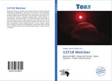 Portada del libro de 13718 Welcker