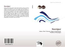 Buchcover von Naurejpur