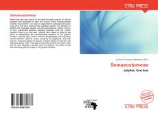 Bookcover of Semaeostomeae