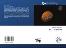 Bookcover of 13716 Trevino