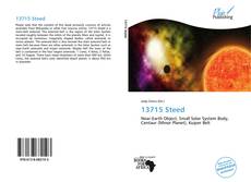 Bookcover of 13715 Steed