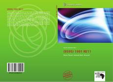 Bookcover of (9595) 1991 RE11