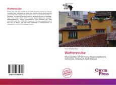 Portada del libro de Wetterzeube