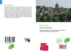 Bookcover of Wewelsfleth