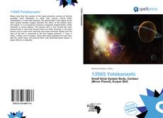 13565 Yotakanashi kitap kapağı