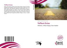 Portada del libro de Teffont Evias