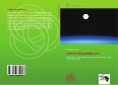 Bookcover of 13425 Waynebrown