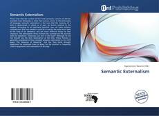 Copertina di Semantic Externalism